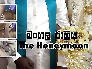 Transmitted to Honeymoon -..