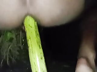 Desi viral sex video