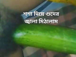 Bangladeshi down in the..