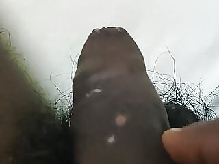 Black Cock pretend